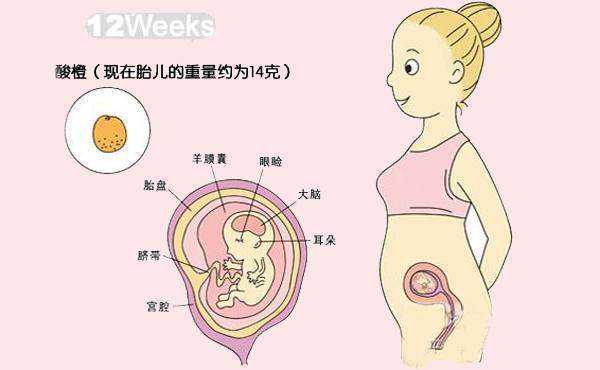 北京协和医院供卵试管多少钱一个月费用